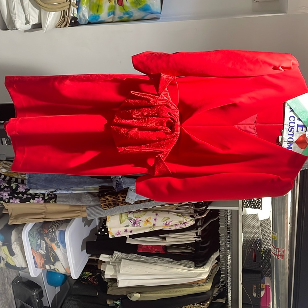 Sachin and babi red dress